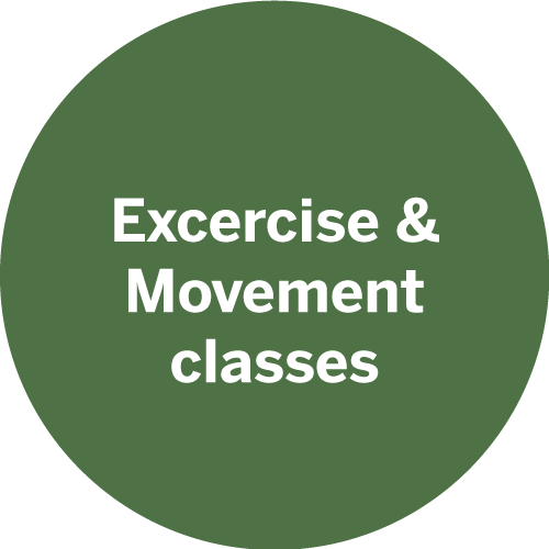 exercise and movement classes